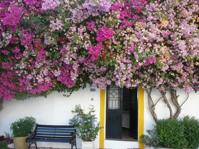 Rio Arade Algarve Manor House Hotel Estombar Luaran gambar